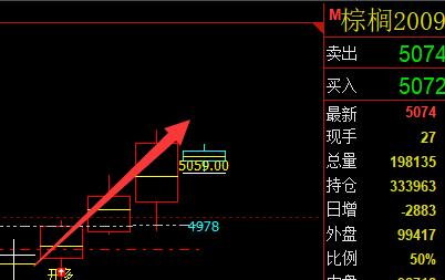 棕榈,多空信号结构,精准转折