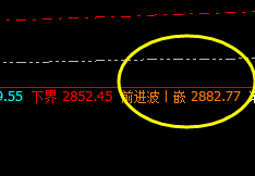 菜粕:延续回撤,价格高点精准触及前进波