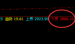 燃油:交易无论资本大小,把握规则,同样收获满满