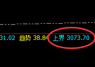 燃油:精准波动,极端回升,快速丰富应对利润