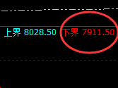 棕榈:涨超5%,试多低点精准强势拉升
