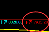 棕榈油:涨超3.8%,日线试仓低点精准实现快速拉升