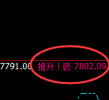 聚丙烯:4小时周期精准展开单日结构性振荡