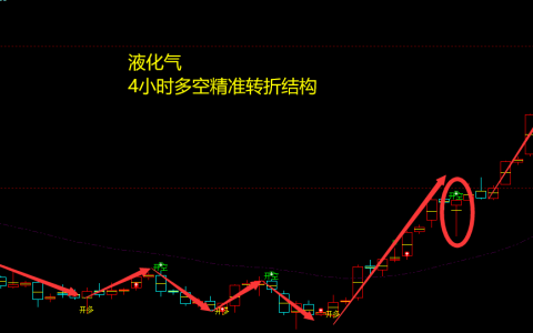 液化气：4小时周期（多空信号）超95% 精准转折结构