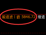 PTA:日线回补结构精准触及并直线杀跌洗盘