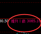 菜粕:日线结构精准展开强势宽幅波动