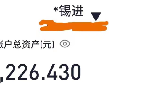 胡锡进炒股两天盈利200余元，自曝选股套路