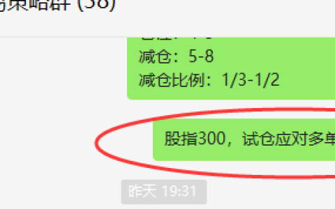 股指300：VIP策略（应对多单）单日突破40点