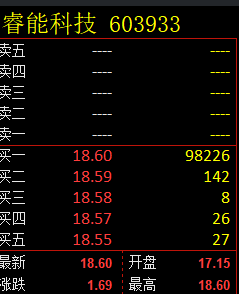 睿能科技 603933:VIP精准抄底策略,今日早盘快速涨停