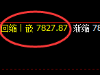 聚丙烯:日线周期,精准展开区间弱势振荡