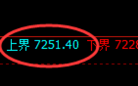 棕榈：试仓高点，精准开启极端大幅回撤