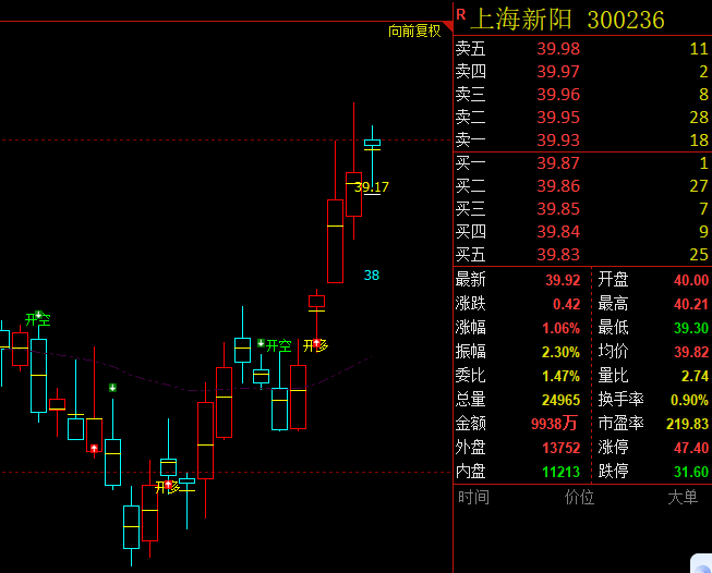 上海新阳 300236:精准VIP策略,短线利润触及20%以上