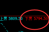 PTA:试仓低点,精准展开极端快速拉升