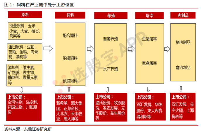 饲料:基本面供需结构及产业链分析