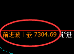棕榈:日线结构,精准展开规则化强势振荡