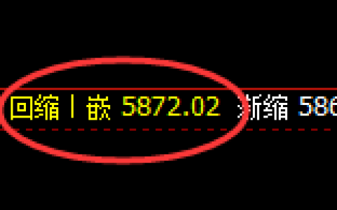 PTA：日线低点，精准展开振荡回升