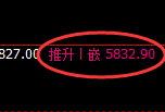 PTA:日线高点,精准展开极端快速回撤