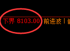 棕榈:日线高点,精准展开振荡回撤