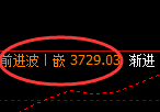 热卷:回补低点,超100点精准展开单边极端强势上行