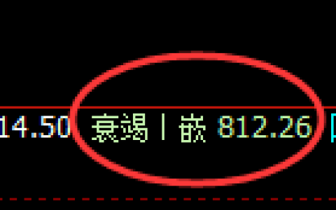 铁矿石：日线低点，精准展开强势拉升