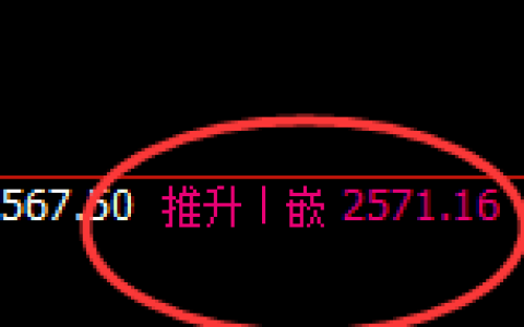 甲醇：日线高点，精准展开振荡回落