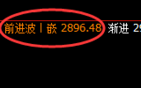 菜粕：日线低点，精准展开加速拉升