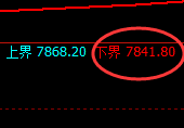 聚丙烯:日线高点,精准展开振荡回落