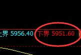 PTA:试仓低点,精准展开积极回升