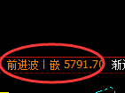 纸浆:修正高点,精准展开大幅极端回落