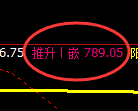 铁矿石:日线低点,精准展开极端强势拉升