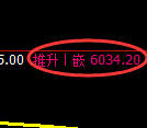 纸浆:4小时周期,精准展开宽幅洗盘