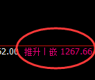 焦煤:日线高点,精准展开冲高回落