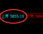 纸浆期货:试仓高点,精准展开极端回落
