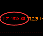 PTA期货:试仓高点,精准展开直线跳水