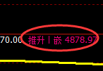 PTA期货:日线低点,精准展开强势回升