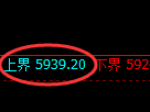 纸浆期货:试仓高点,精准展开直线跳水
