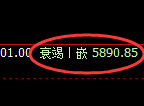 纸浆期货:试仓高点,精准展开直线跳水