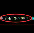 纸浆期货:日线高点,精准展开极端快速回落