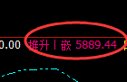 纸浆期货:修正高点,精准展开极端快速回落