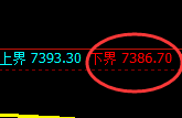 聚丙烯期货:试仓低点,精准展开强势反弹