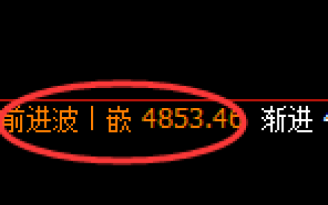 PTA期货：修正高点，精准展开极端大幅回落
