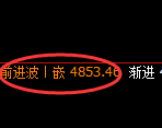 PTA期货:修正高点,精准展开极端大幅回落