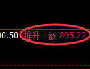 焦煤期货:日线低点,精准展开强势反弹