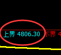 PTA期货:修正高点,精准展开冲高回落