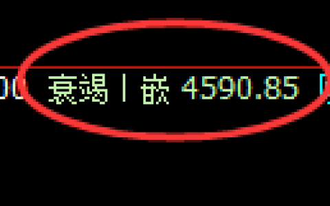 PTA期货：回补低点，精准进入单边直线拉升