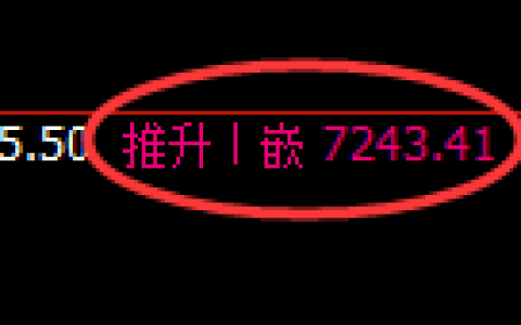 聚丙烯期货：回 补高点，精准展开极端回落