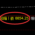 棕榈油期货:试仓高点,精准展开直线跳水