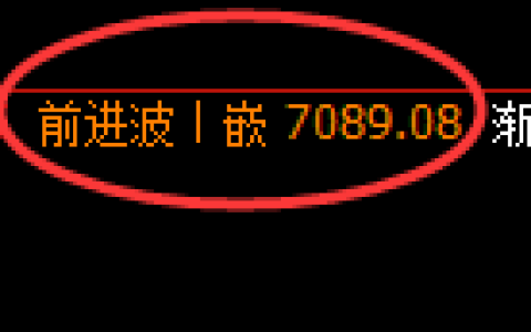 聚丙烯期货：日线高点，精准进入振荡调整
