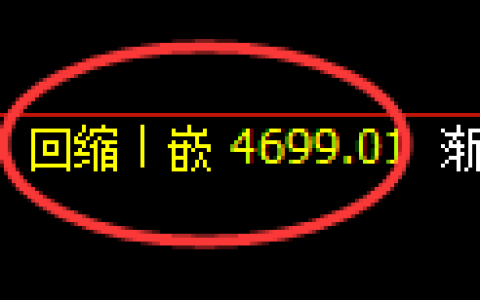 PTA期货：日线回补高点，精准展开冲高回落