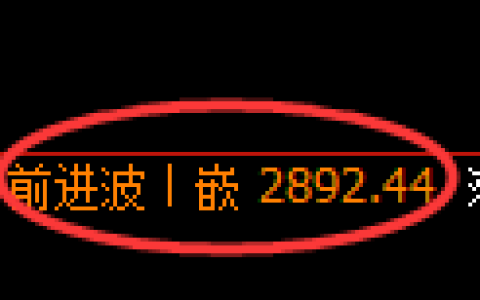 豆粕期货：4小时高点，精准展开极端回落